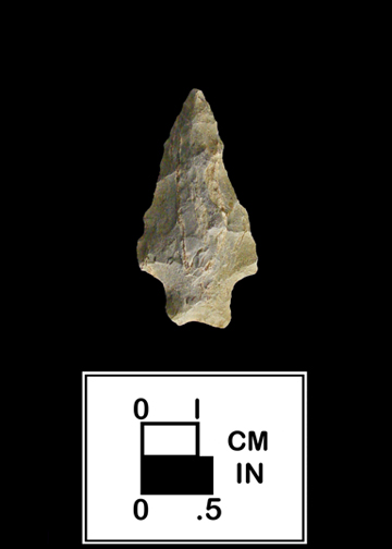 Stanly point from the Heise Collection Site 18CR141-1.